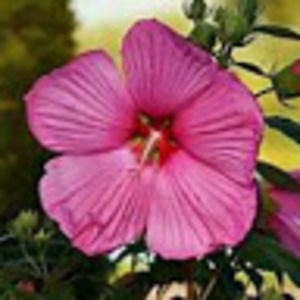 Meet your Posher, Marybeth